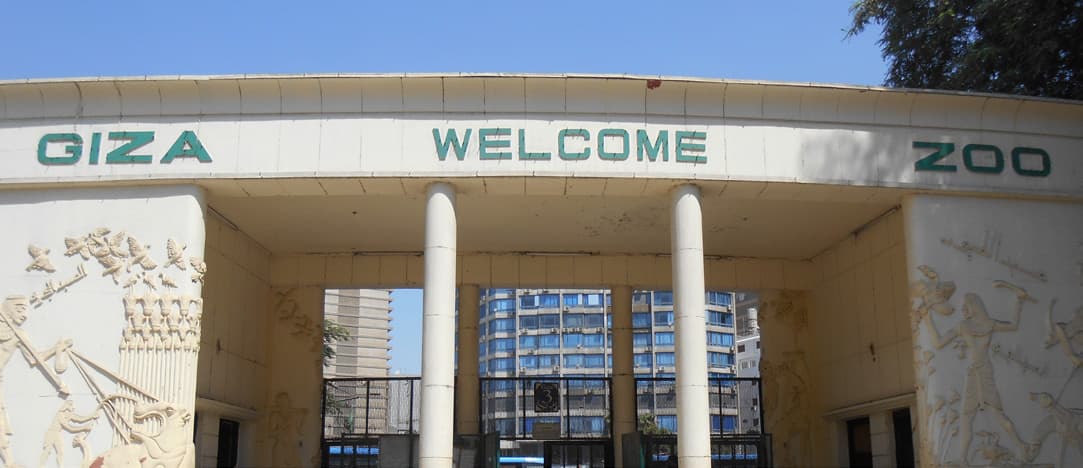 MK Enterprise Secures EGP 2.6B Facility for Giza Zoo Transformation